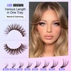 Pawotence Lash Extension Kit DIY 280pcs Brown Lash Clusters Eyelash