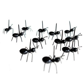rukauf 20 x Ant Picks Fork Finger Food for Party Appetizers - Decorative Party Skewers