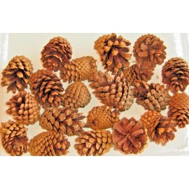 Unbranded Pine Cones For Mini Ornaments, Christmas Decorations, Scented Tree Cones 20pcs