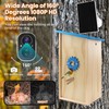 Smart Solar Birdhouse with Camera, 1080P HD Wireless Bird House