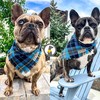 Odi Style Dog Bandanas Large - Dog Accessories for Large