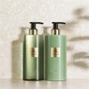 armani beauty [Armani Beauty] Privé The Olong Body Lotion 400ml