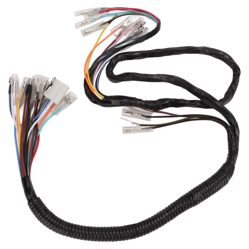 Vehicle Complete Main Electrical Wiring Harness with Connectors Automotive Replacement