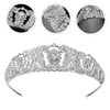BIUDECO Stunning Crystal Bridal Crown Headband Tiara Headdress for Wedding