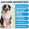 Itch and Immune Chews for Dogs, Pet Allergy Relief Immunity