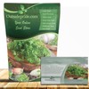 Outsidepride Chervil Herb & Microgreens Seeds - 10000 Pcs. Annual,