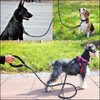 ProBytes 1.2M Dog Lead - Reflective Thread Safety Design, 360°