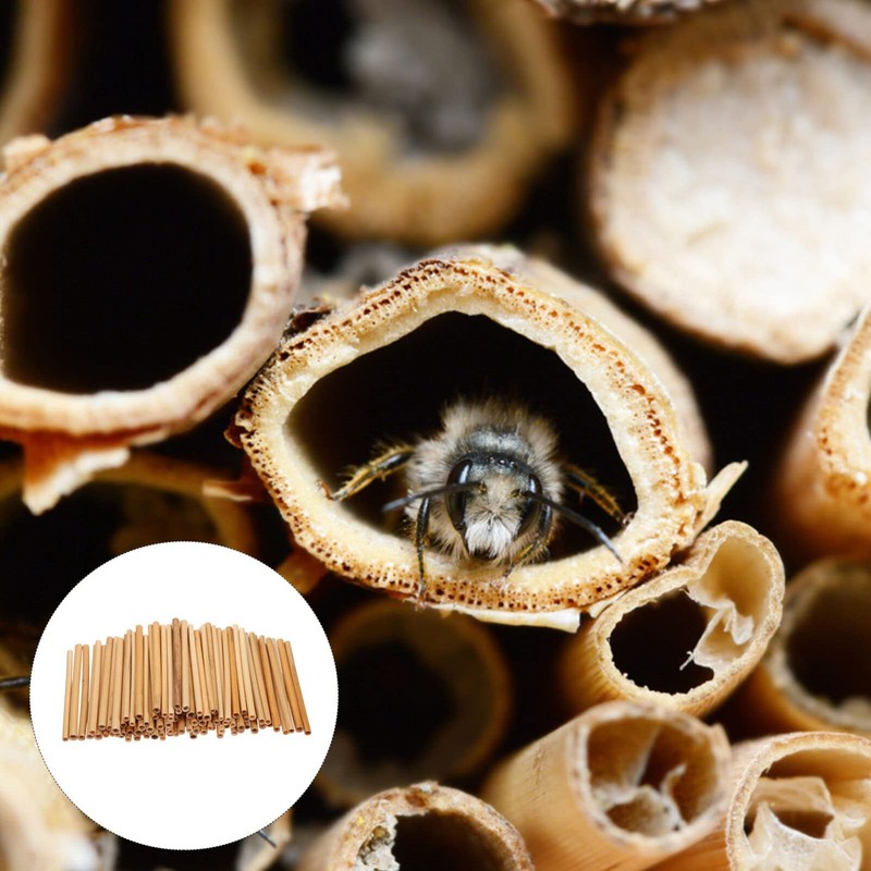 MAGICLULU 100Pcs Bee Tubes Mason Bee Nesting Tubes Reed Mason