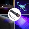 365nm UV Flashlight USB Rechargeable Portable Ultraviolet Torch Light Pet