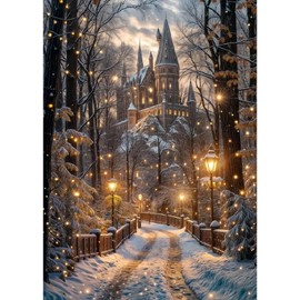 STGLCR - Kits de pintura de diamantes para adultos, kits de arte de diamantes de carretera para principiantes, manualidades de gemas de invierno para decoración de pared del hogar, gran regalo, 16 x
