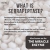 Herba Serrapeptase 120,000 SU - 90 Vegetable Capsules | High