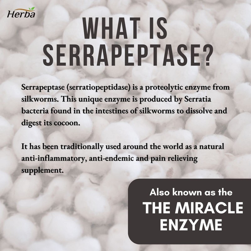 Herba Serrapeptase 120,000 SU - 90 Vegetable Capsules | High