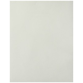 Neenah Environment Laser, Inkjet Print Copy & Multipurpose Paper - 100% Recycled