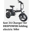 coming data Fast 3A power supply Battery Charger For DEEPOWER