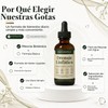 Gotas para el Drenaje linfático, Drenaje linfático: Antihinchazón y desinflamante,