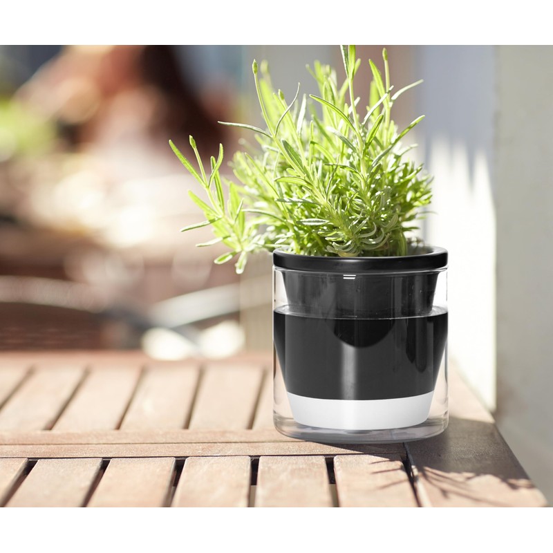 D'vine Dev 4 Inch Design Self Watering Planter for Indoor