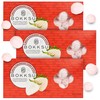 Bokksu White Strawberry Candy Bites - 3-Pack Freeze-Dried Strawberry Candies