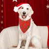Realeaf Christmas Dog Bandanas 2 Pack, Reversible Red Green Xmas