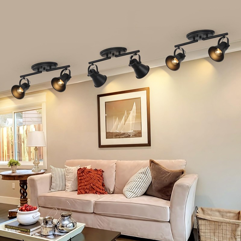 SEEBLEN 2 Light Track Lighting Ceiling, Industrial Directional Ceiling Spot