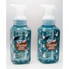 Frosted Coconut Snowball Hand Soap Foaming Gentle w Natural Essential