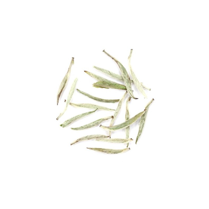 Adagio Teas Silver Needle, Premium Loose Leaf Tea (227g catering