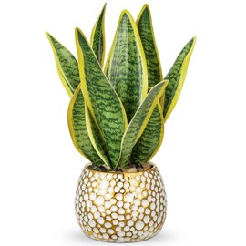 Hollyone Artificial Snake Plant Potted Faux Sansevieria Trifasciata Plants, 13" Tropical Fake Plants in Ceramic Pots for Home Office Room Indoor Decor Housewarming Gifts