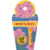 Burt's Bees Valentines Day Gifts Ideas - Spring Surprise Set,