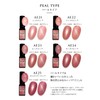 Safe Made in Japan Cat Eye Gel Artist Gel Series