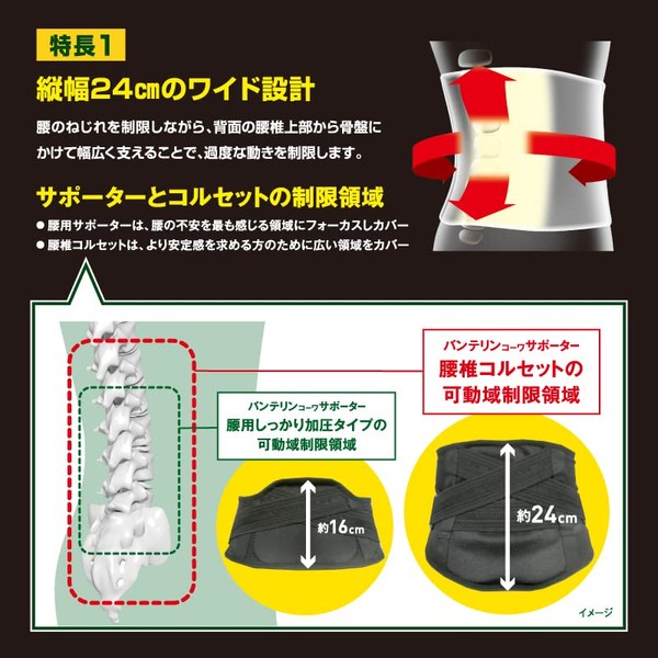 VANTELIN KOWA Supporter Lumbar Corset, Regular, Size M, 25.6 -