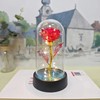 Eternal Rose Gift for Her – Acrylic Rose Display with