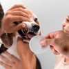 Fancy Pets Toallitas Dentales Ultra para Perro con 80 Piezas