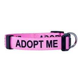 Native Pup Adopt Me Dog Collar (Large, Pink)