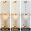 FRIXCHUR 11.8'' Gold Crystal Chandelier LED Flush Mount Crystal Ceiling