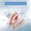 Dental Adult Standard Teeth Model, Typodont Demonstration Denture Model|Mouth Teeth