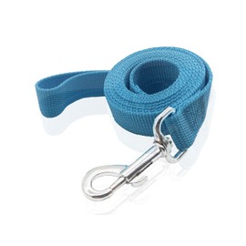 Durable Nylon Dog Leash 16 Feet Long, Walking Training Dog Leashes for Medium Large Dogs, 1 Inch Wide (Blue)