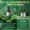 LUKAREE 2 Pack Liquid Chlorophyll Drops For Immune Support -
