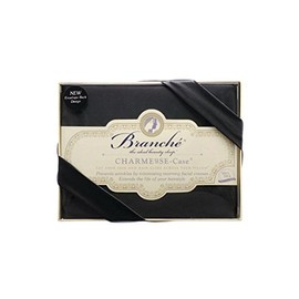 Branché Beauty Sleep Charmeuse Case | Silk Pillowcase for Healthy Skin and Hair | Boudoir - 12" x 16" / 31 x 41 cm | Black