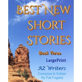 Best New Short Stories Book Three: Book Three Large Print (Large Print Series: Granite Publishing)