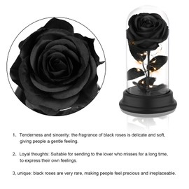 Deluxsa Forever Preserved Black Rose Birthday Gifts for Women,Eternal Flower Gifts for Mom,Wife,Grandma,Light Up Rose Flowers in A Dome,Black Flower Rose Presents for Birthday,Anniversary,Valentines
