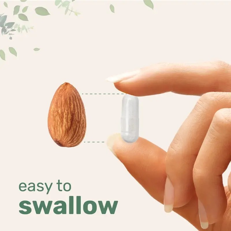 Micro Ingredients Pure Methylated Multivitamin for Men – 240 Capsules