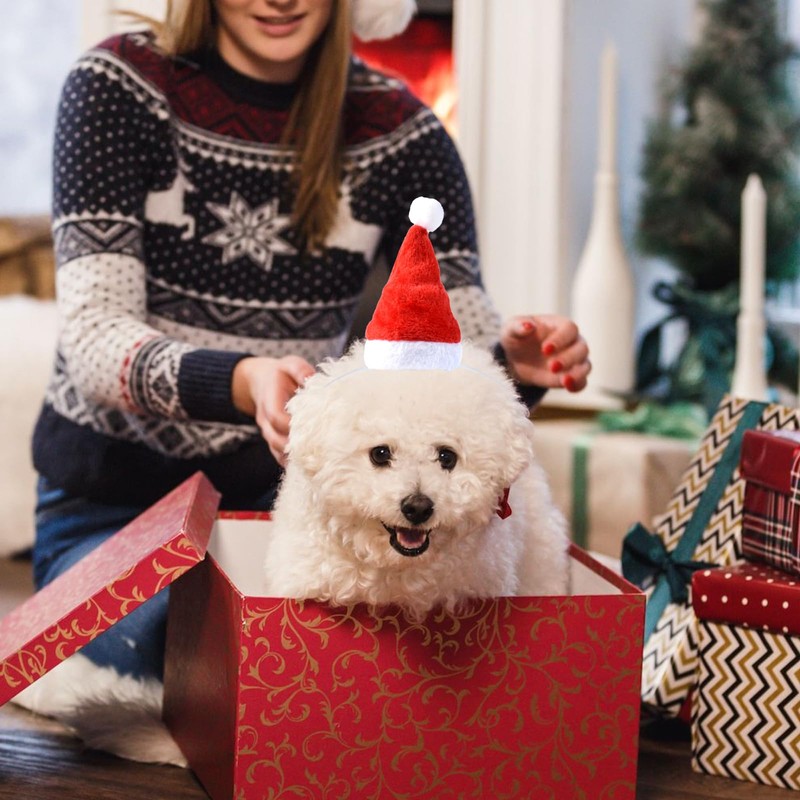 Mini Dog Santa Hat for Dogs Christmas Hat,Small Cat Santa