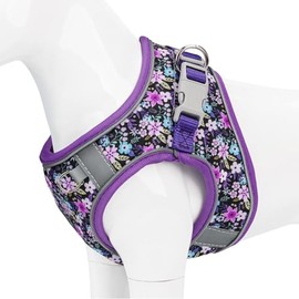 Dog Harness Small Sized Dog - No Pull Reflective Adjustable - Step-in for Small, Medium, Large Dogs & Cats- Easy Control, Comfortable Fit, and Leash Option for Walking and Training Purple Floral XXS