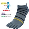 Hayashi AG938 Men's 5 Toe Deodorizing All Mesh Socks for
