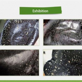 Disa's Black Mask Peel Off Face Mask 50ml - Removes Acne & Blackheads, Whitening, Daily Use, Travel Size, Suitable for All Skin Types