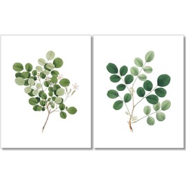Botanical Prints Wall Art - Eucalyptus Leaves - Set of 2-8x10 - Unframed