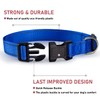 Reflective Dog Collar with Buckle Adjustable Safety Nylon Collars for