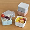 Sabu Tresova 416323 Food Container Square, S, Mint, Capacity: 8.5