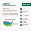 Back to The Roots 100% Organic Seed Packet - Lettuce