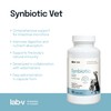 Lab-V Synbiotic Vet for Dogs and Cats - Supplementary Food