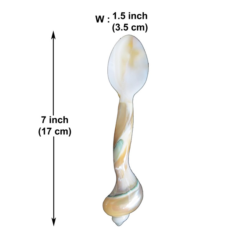 Set of 02 Spoons Shell Spoon Mother of Pearl Caviar